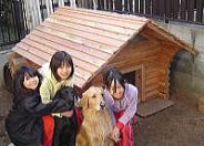 よく暴れる2匹のレトリバー向けに頑丈な校倉タイプの犬小屋を製作しました。